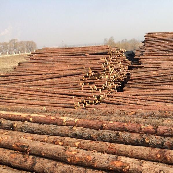 1518330261235049.jpg QQ截圖20180211143537.jpg